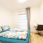 Vera 3*